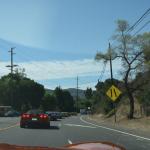TourdSoCal_1_0016 (September 11, 2015)